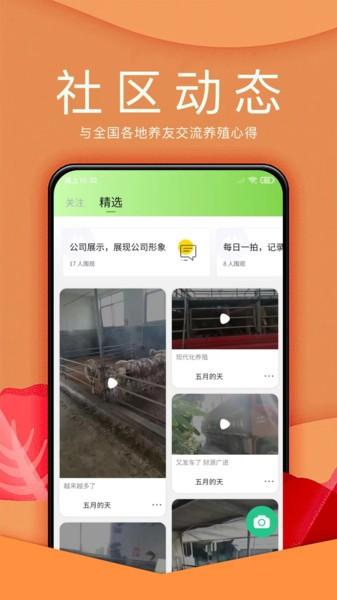 羊小宝官方版下载,羊小宝,养殖app,社区app