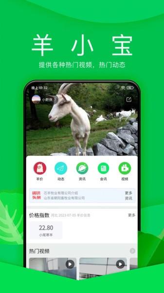 羊小宝官方版下载,羊小宝,养殖app,社区app